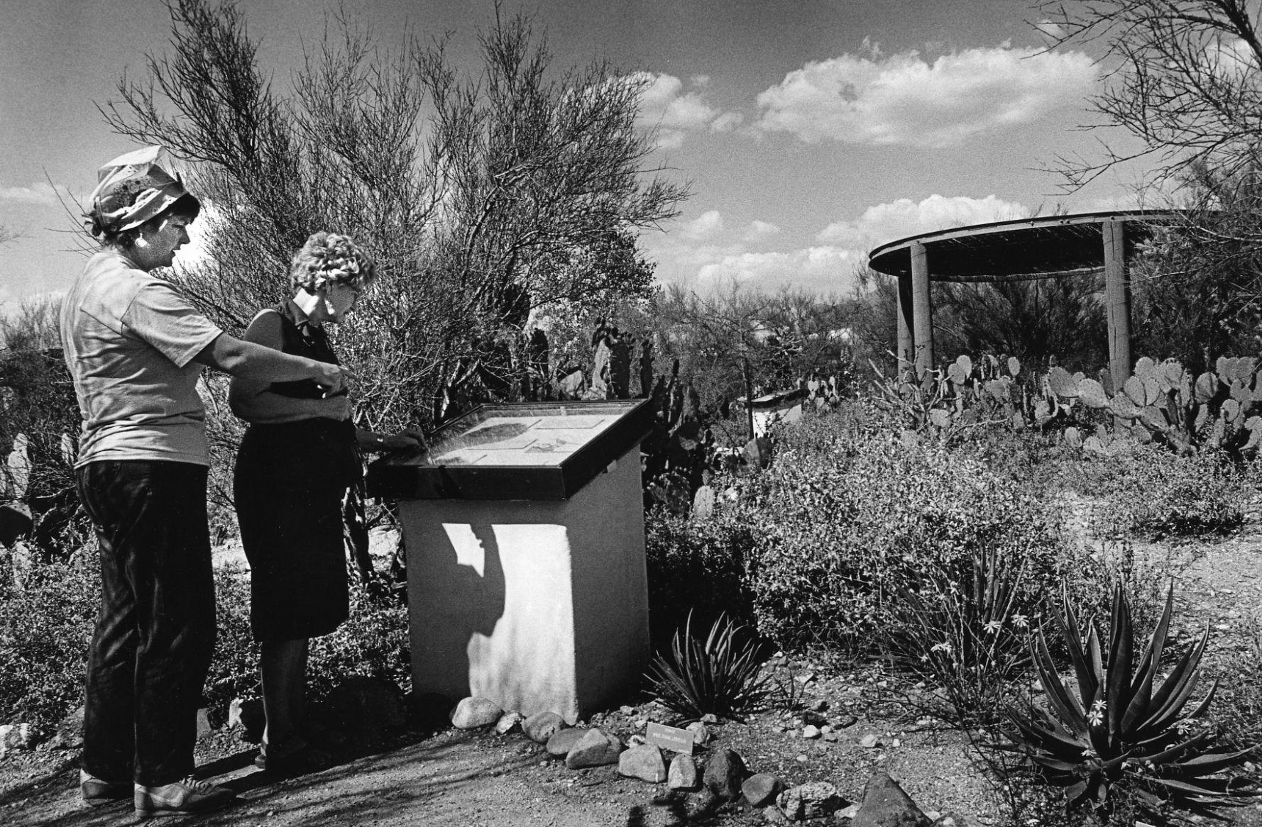 Tohono Chul Park